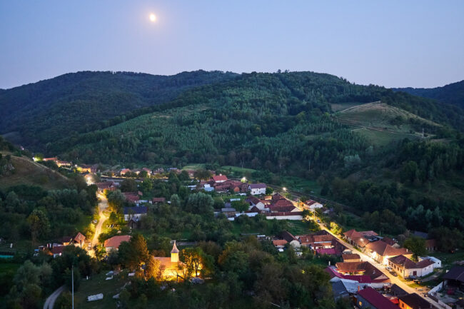Tara Fagetului